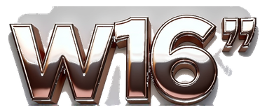 w 16 logo
